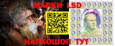 индика Обнинск