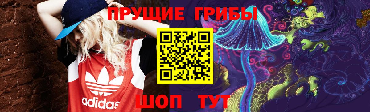 Оренбург  Галлюциногенные грибы Psilocybe  Вход с VPN 